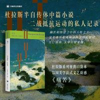 痛苦 二战抵抗运动的私人记录 便携口袋本 极简美学重塑法式文艺质感 当当自营正版书
