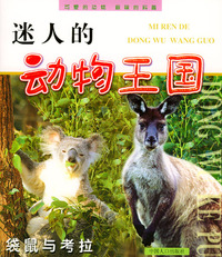 迷人的动物王国：袋鼠与考拉