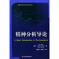 精神分析导论——心理咨询与治疗系列