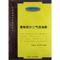 濮城西沙二气顶油藏
