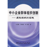 中小企业群体组织创新-虚拟组织的实施
