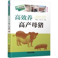 高效养高产母猪