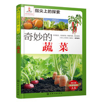 指尖上的探索：奇妙的蔬菜（附显隐卡）