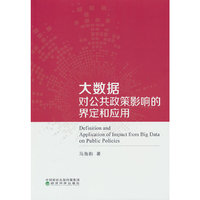 大数据对公共政策影响的界定和应用