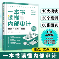 财务人员进阶之道实战丛书--一本书读懂内部审计：要点·实务·案例