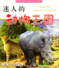 迷人的动物王国：猎豹与犀牛