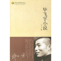 毕飞宇小说/鲁迅文学奖获奖作家丛书(鲁迅文学奖获奖作家丛书)