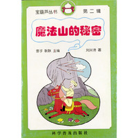 魔法山的秘密