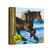 马-我爱动物小百科