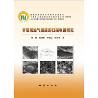 非常规油气储层的扫描电镜研究