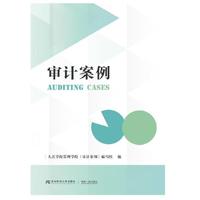 审计案例
