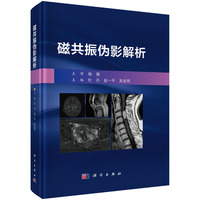 磁共振伪影解析牡丹9787030816245科学出版社