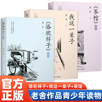 全3册 老舍经典作品集 骆驼祥子+茶馆+我这一辈子