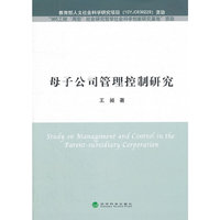 母子公司管理控制研究