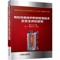 有机热载体炉积炭检测技术及安全评价研究