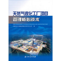 天然气液化工厂项目管理核心技术