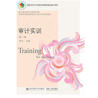 审计实训(第二版)