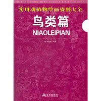 实用动植物绘画资料大全：鸟类篇