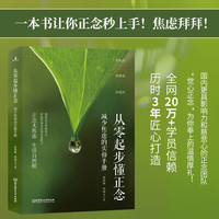 从零起步懂正念：减少焦虑的实修手册