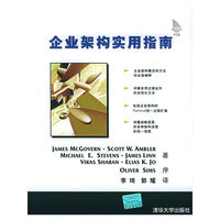 企业架构实用指南