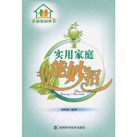 实用家庭节能妙招/小康家园丛书