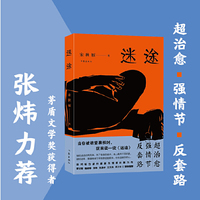 迷途（反套路，强情节，都市情感长篇力作，温情治愈系小说，张炜力荐。）