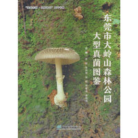 东莞市大岭山森林公园大型真菌图鉴/绿美东莞品质林业系列书籍