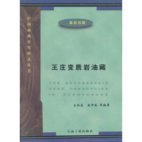 王庄变质岩油藏