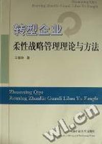 转型企业柔性战略管理理论与方法