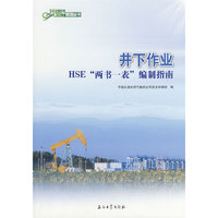 中国石油HSE管理丛书 井下作业HSE“两书一表”编制指南`