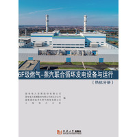 6F级燃气-蒸汽联合循环发电设备与运行（热机分册）