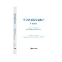 全球新能源发展报告（2024）
