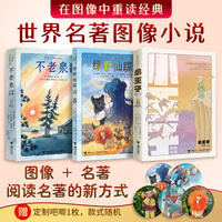世界名著图像小说系列（小王子+不老泉+绿野仙踪，含定制吧唧1枚）