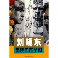 刘晓东美院应试全科