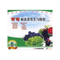 葡萄病虫害发生与防治（下）（VCD）