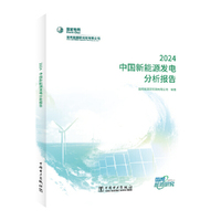中国新能源发电分析报告 2024