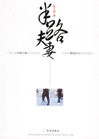 半路夫妻
