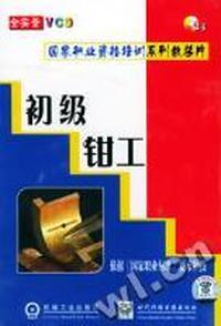 初级钳工(含2VCD)