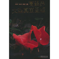 高望界大型真菌图鉴(精)