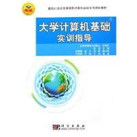 大学计算机基础实训指导(下)(面向21世纪高等院校计算机基础系列规划教材)