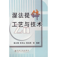 湿法提锌工艺与技术