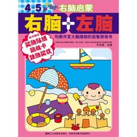 4-5岁-右脑启蒙-右脑加左脑-均衡开发大脑潜能的益智游戏书-随书赠送奖励贴纸 挑战卡 鼓励奖状
