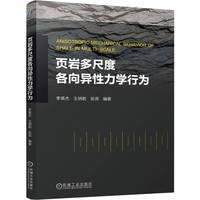 页岩多尺度各向异性力学行为   李英杰 王炳乾 张亮