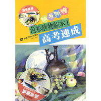 色彩静物临本·1