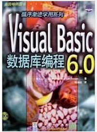 Visual Basic 6.0 数据库编程