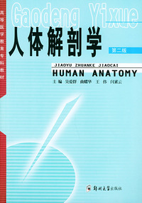 人体解剖学