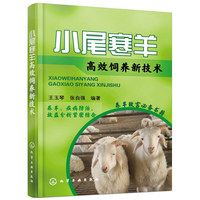 小尾寒羊高效饲养新技术