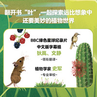 绿色星球