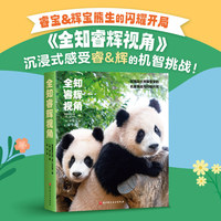 全知睿辉视角