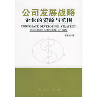 公司发展战略